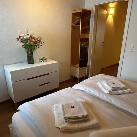 Swiss Horizon - Penthouse Mit Aussicht & Liftnaehe Auf 2 Etagen Apartman