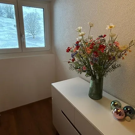 Apartament Swiss Horizon - Penthouse Mit Aussicht & Liftnaehe Auf 2 Etagen