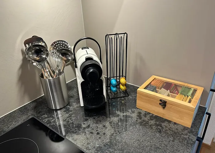 Swiss Horizon - Penthouse Mit Aussicht & Liftnaehe Auf 2 Etagen Flums