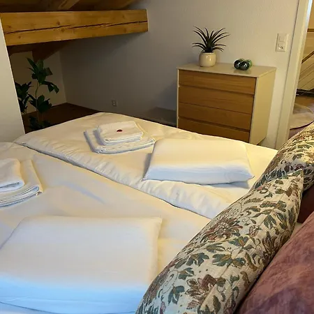 Swiss Horizon - Penthouse Mit Aussicht & Liftnaehe Auf 2 Etagen * Flums